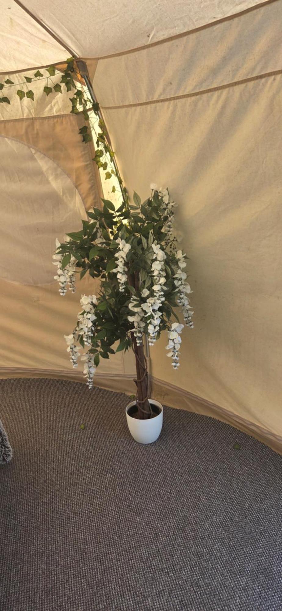 Hotel Glamping In Dromineer Esterno foto